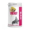 SAK Energy Granulat 1000ml