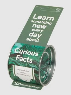 Doiy Papier-Spiel 'Curious Facts' - Englisch - GrĂĽn