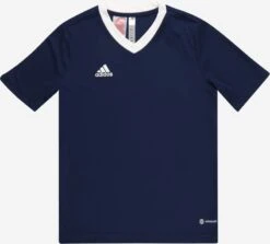 ADIDAS PERFORMANCE Trikot 'Entrada 22'
