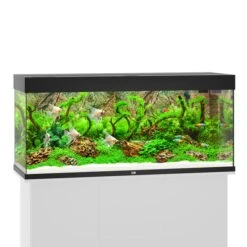 Juwel Rio 240 LED Komplett Aquarium Ohne Schrank