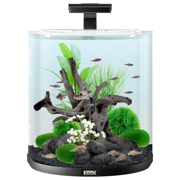 Tetra AquaArt Explorer Line Halfmoon Komplett-Set 60l – Bild 3