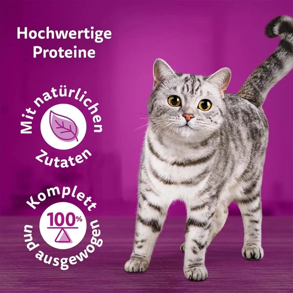 Whiskas Pure Delight Multipack Geflügel Ragout In Gelee 40x85g – Bild 2