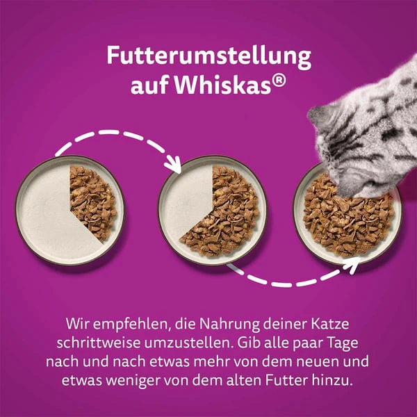Whiskas Pure Delight Multipack Geflügel Ragout In Gelee 40x85g – Bild 6
